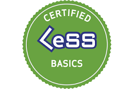 Certified LeSS Basics