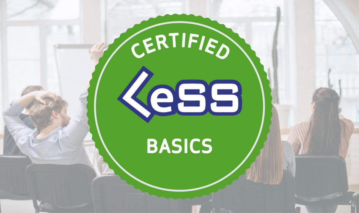 LeSS Basics